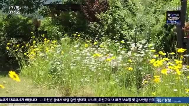 인간극장 2025-07-17