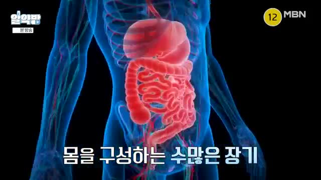 알약방 2025-09-25