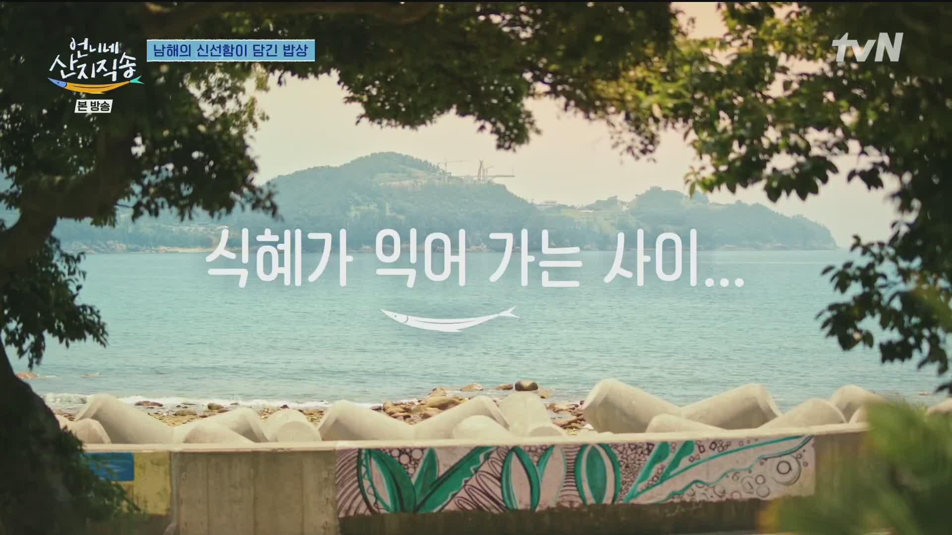 언니네 산지직송 제3회