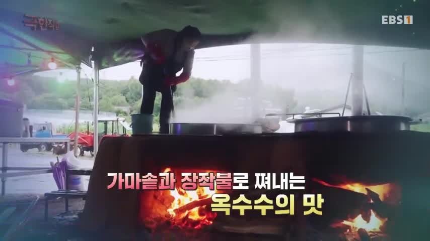 극한직업 2026-08-01