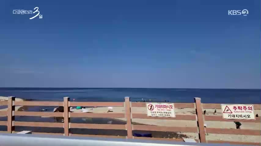 다큐멘터리 3일 2026-08-31
