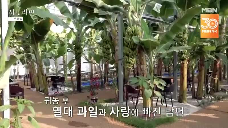 휴먼다큐 사노라면 2025-02-09