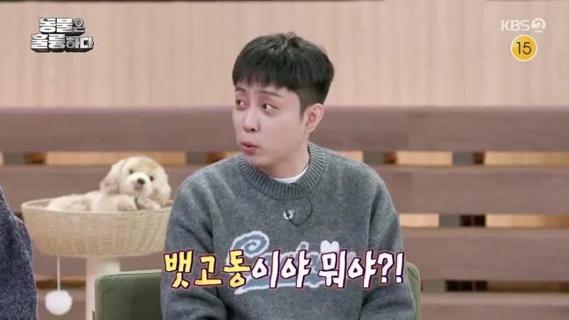동물은 훌륭하다 2025-01-13