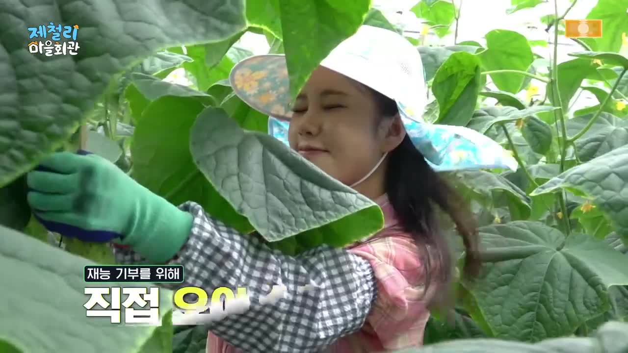 제철리 마을회관 2026-08-16
