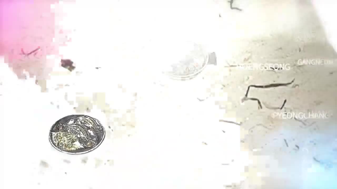 한국인의 밥상 2026-03-26