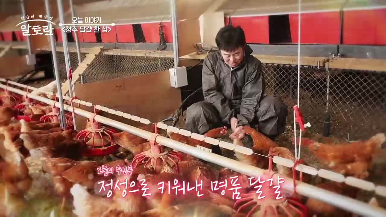 알토란 2026-02-22