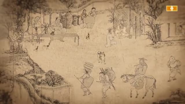 TV 동물농장 제1248회