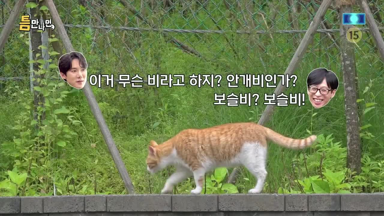 틈만나면 2025-07-01