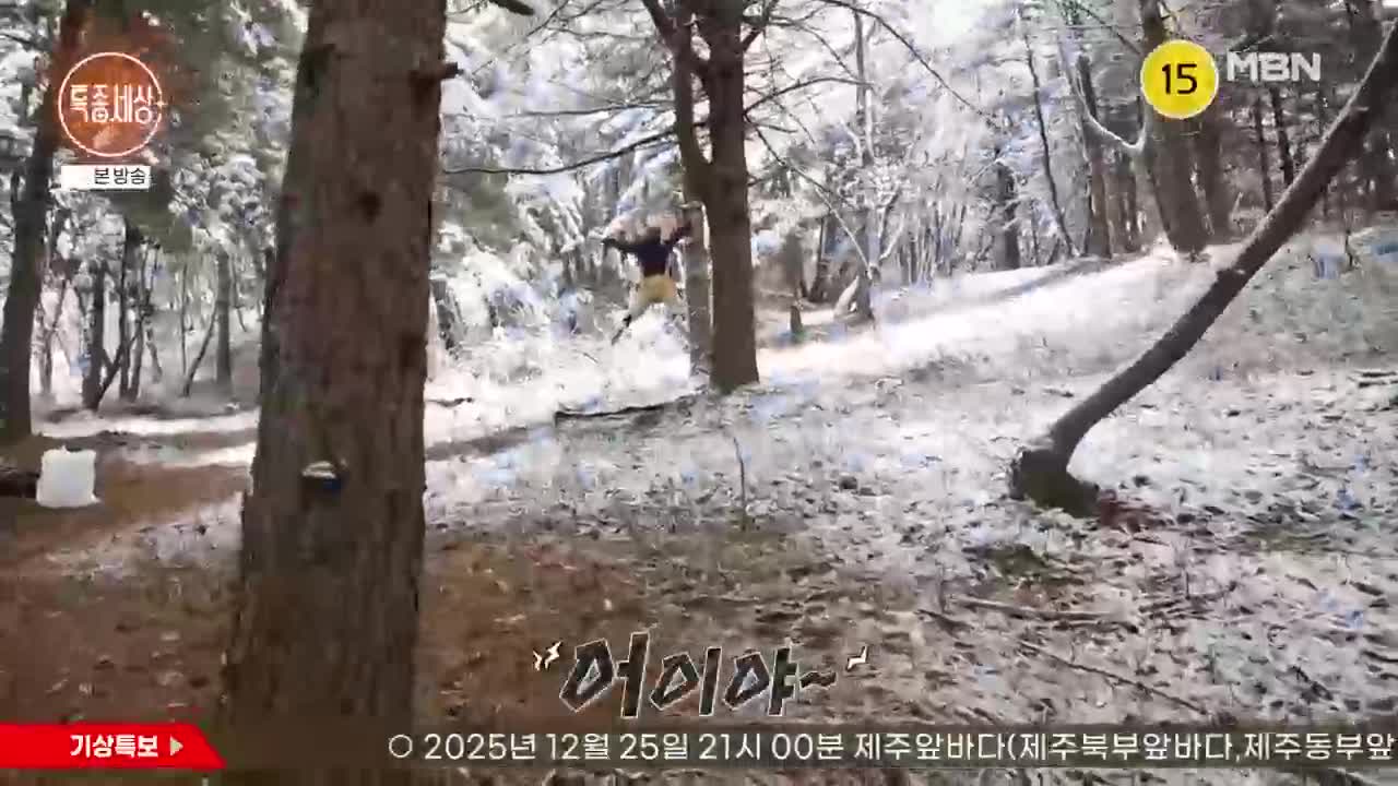 특종세상 2025-12-25