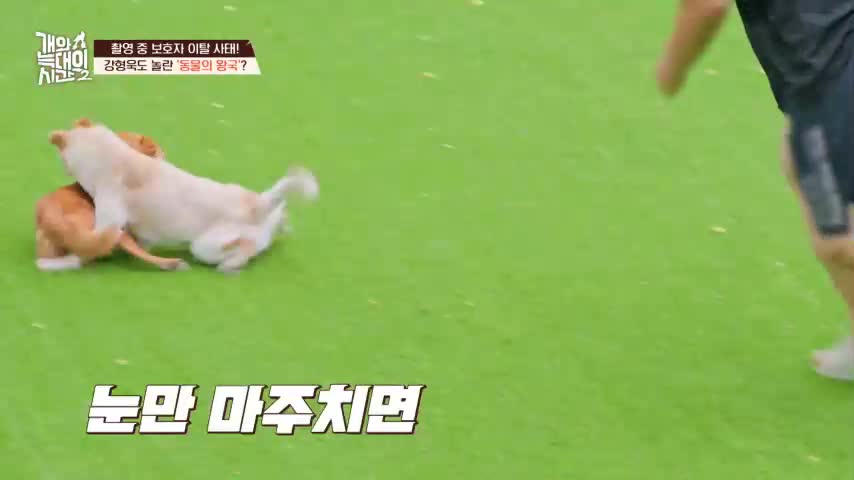 개와 늑대의 시간 시즌2 2026-08-05