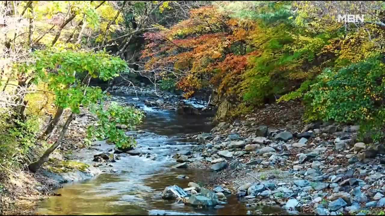 휴먼다큐 사노라면 2026-02-08