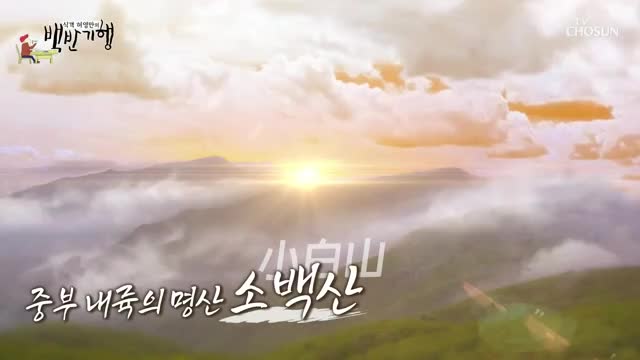 식객 허영만의 백반기행 제292회