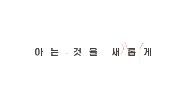 어쩌다 어른 10주년 2025-07-29