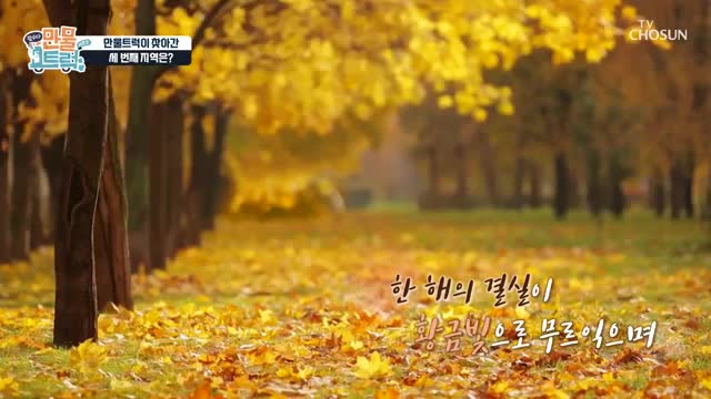 왔수다 만물트럭 시즌2 제4회 2025-10-19
