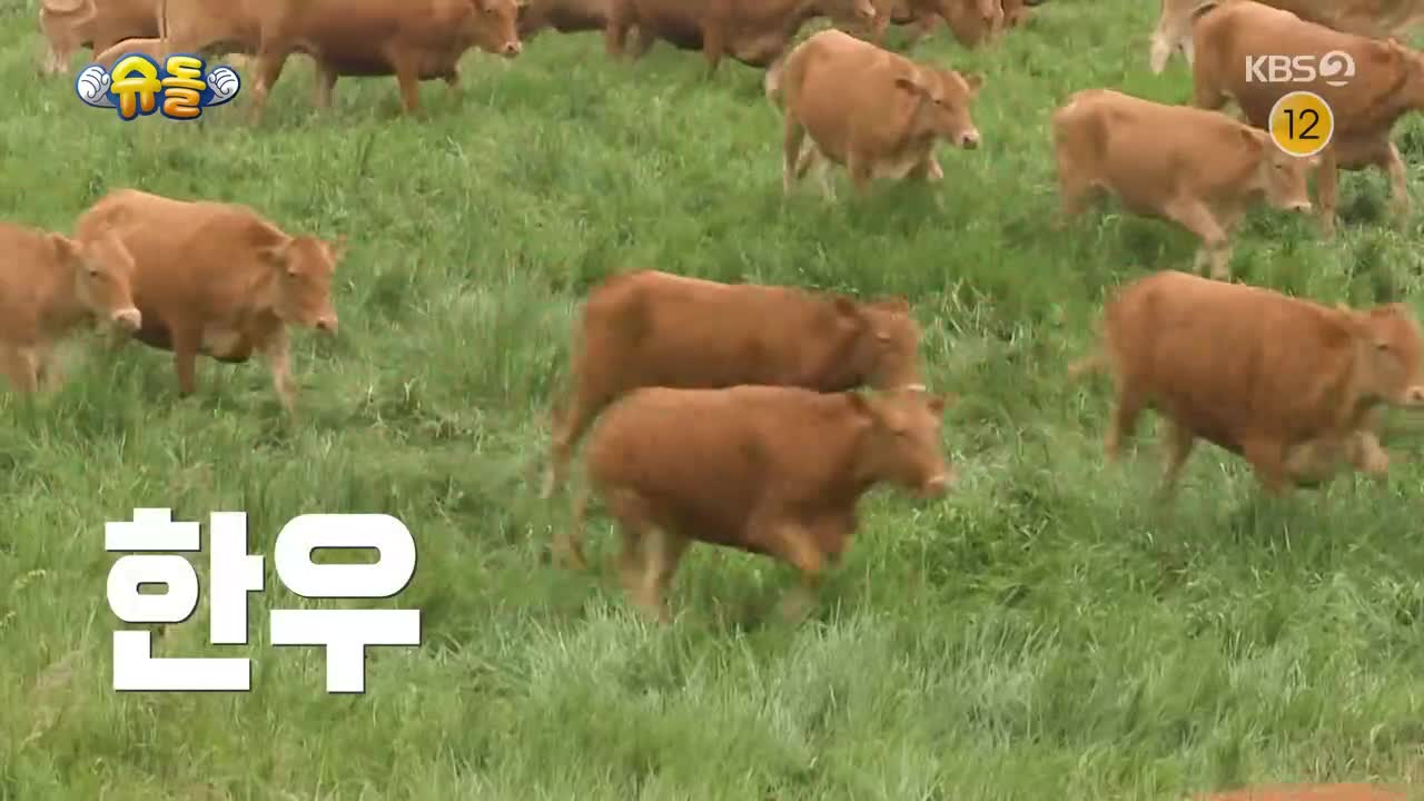슈퍼맨이 돌아왔다 2025-07-23