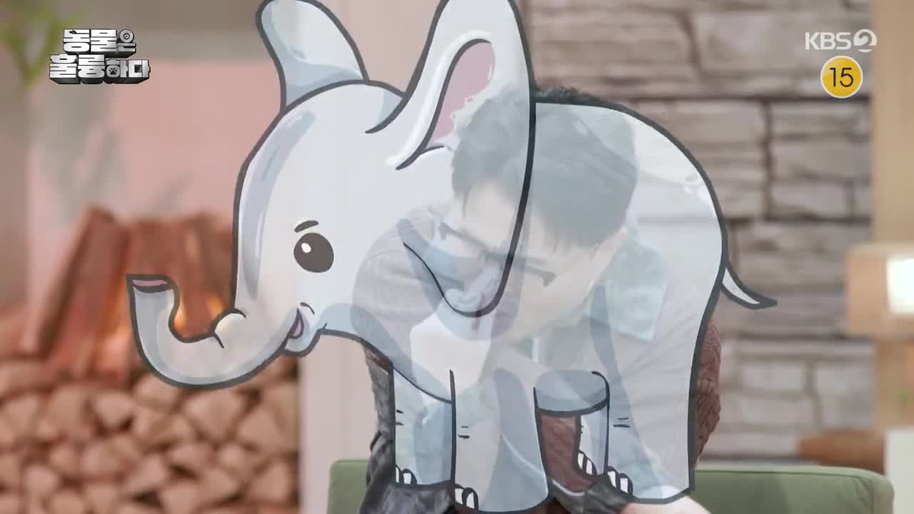 동물은 훌륭하다 2025-03-10