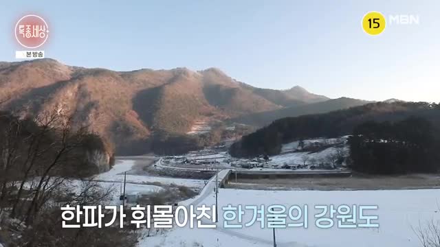 특종세상 2025-02-20