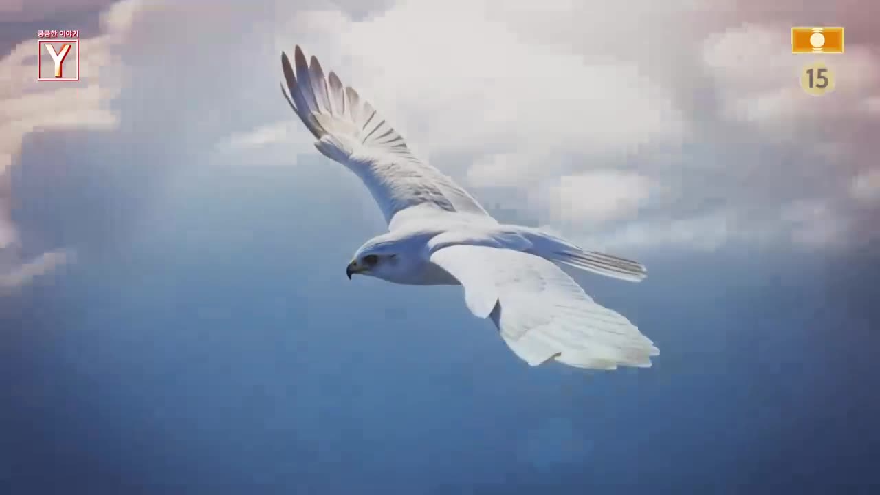 궁금한 이야기 Y 제766회