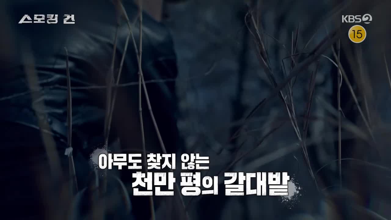 과학수사대 스모킹건 2026-04-07