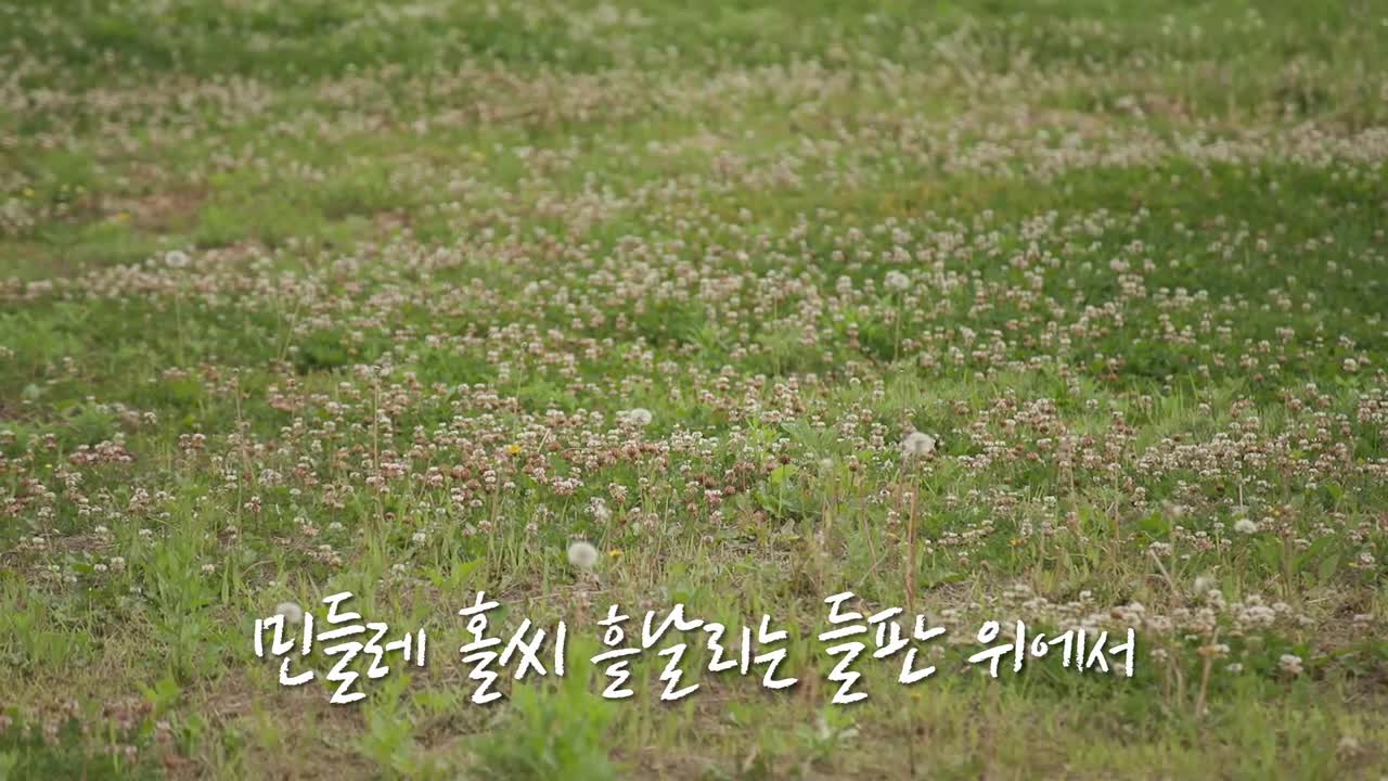 도라이버: 잃어버린 핸들을 찾아서 시즌2 2025-07-27