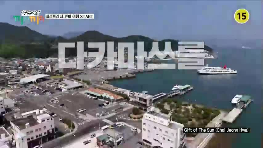 끼리끼리 2026-08-26