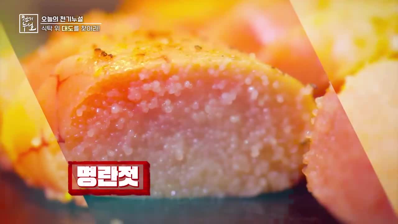 천기누설 2026-01-23