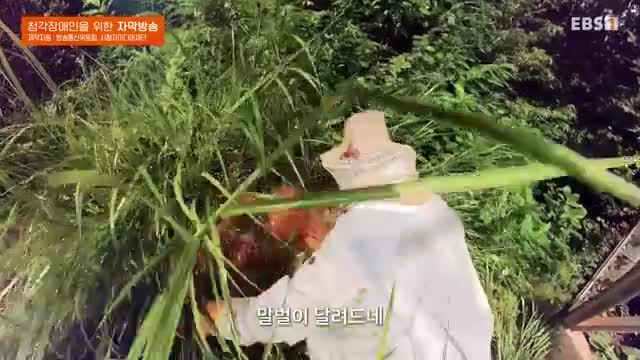 극한직업 2025-09-06