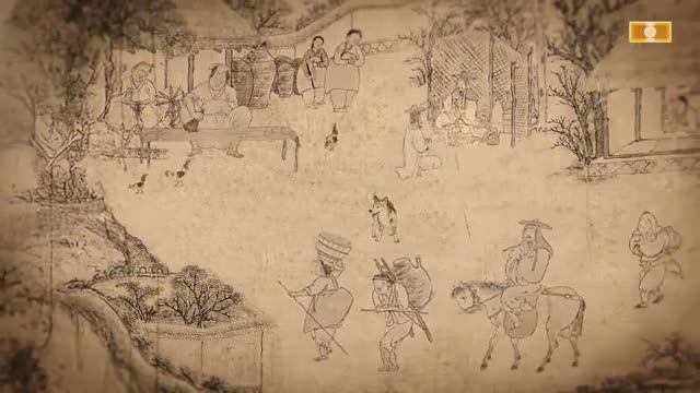 TV 동물농장 제1249회