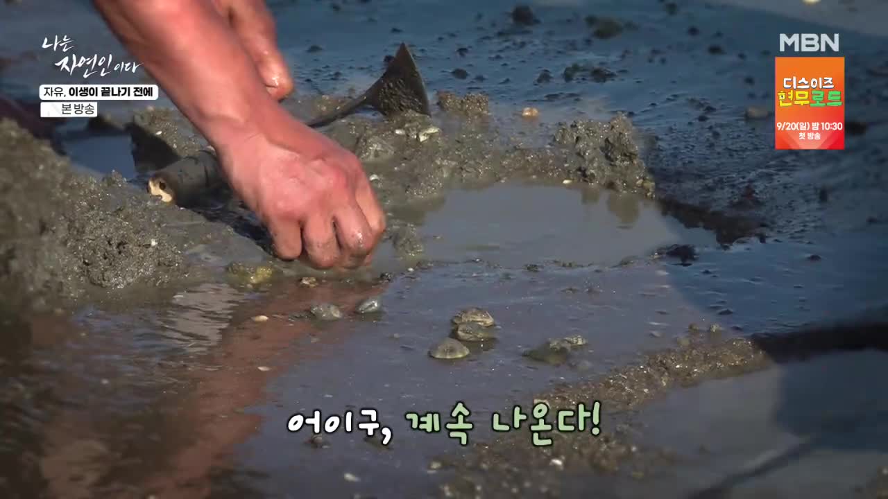 나는 자연인이다 2026-09-07