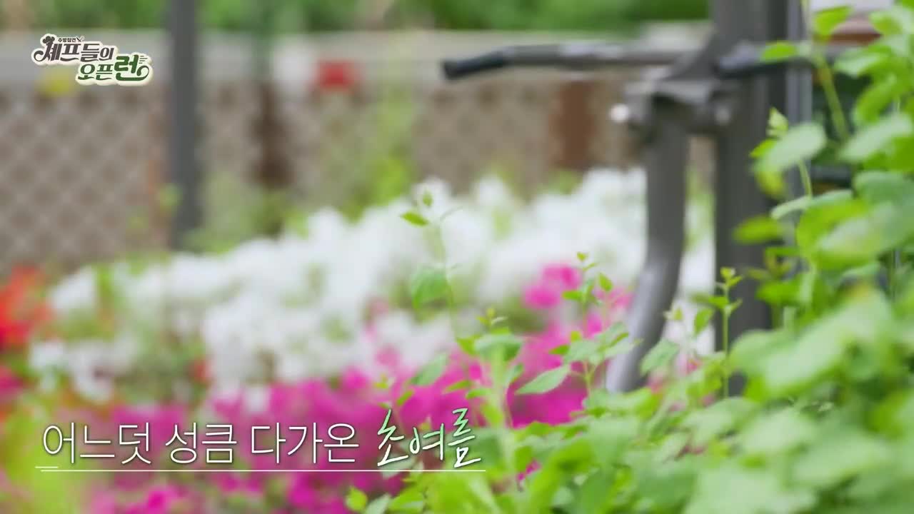 주방참견 셰프들의 오픈런 제5회