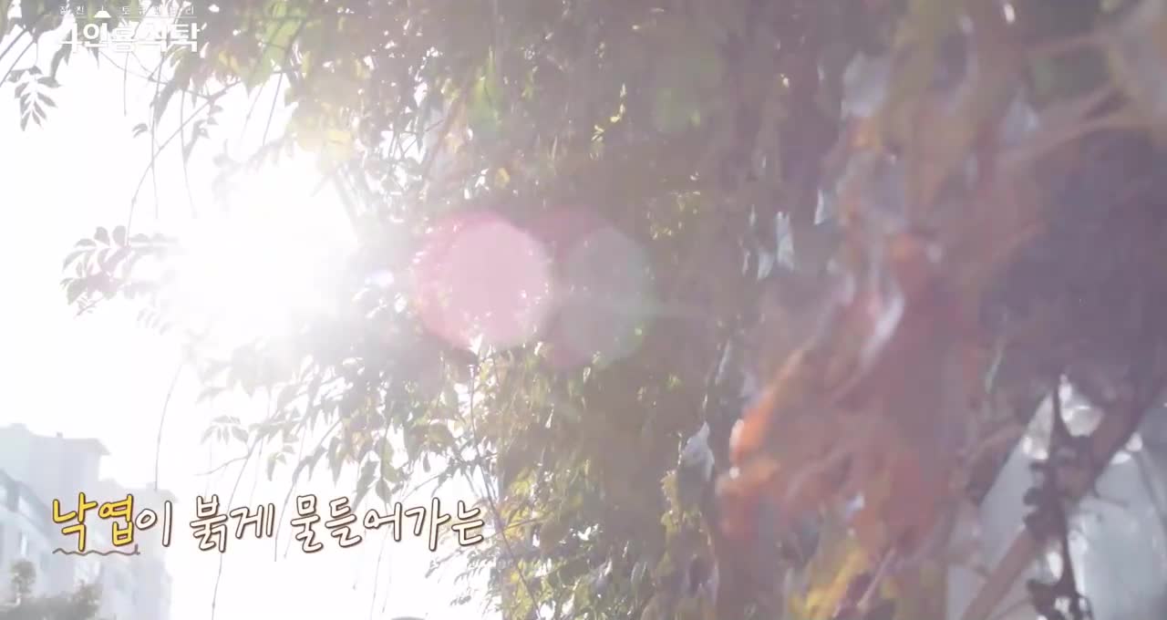 절친 토큐멘터리 4인용식탁 2025-11-10