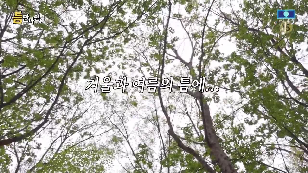 틈만나면 2025-05-06