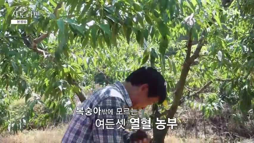 휴먼다큐 사노라면 2026-08-02