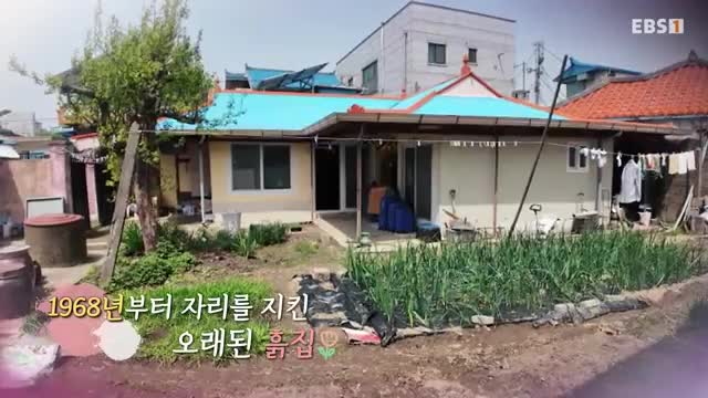 왔다 내손주 2025-06-26