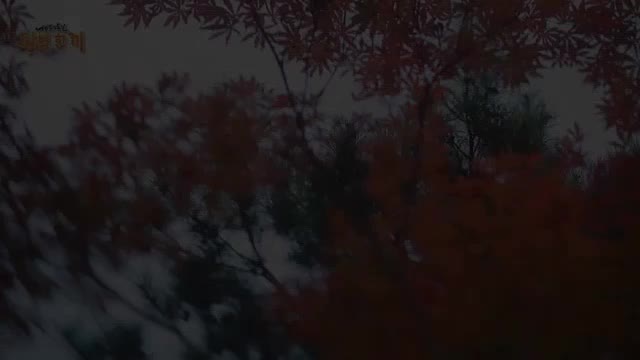 셰프의 손길 완벽 한 끼 제5회