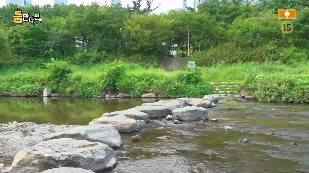 틈만나면 2026-09-01