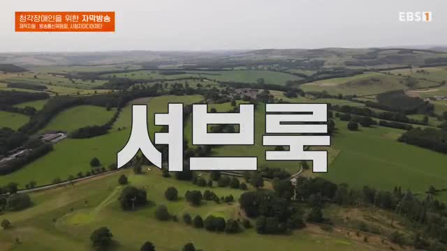 왔다 내손주 2025-09-11
