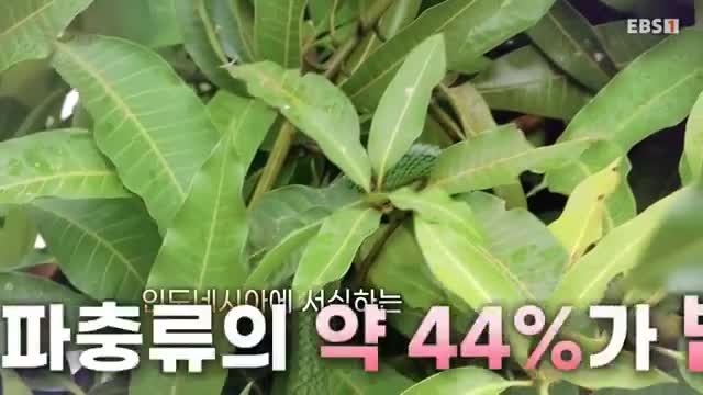 극한직업 2025-05-31