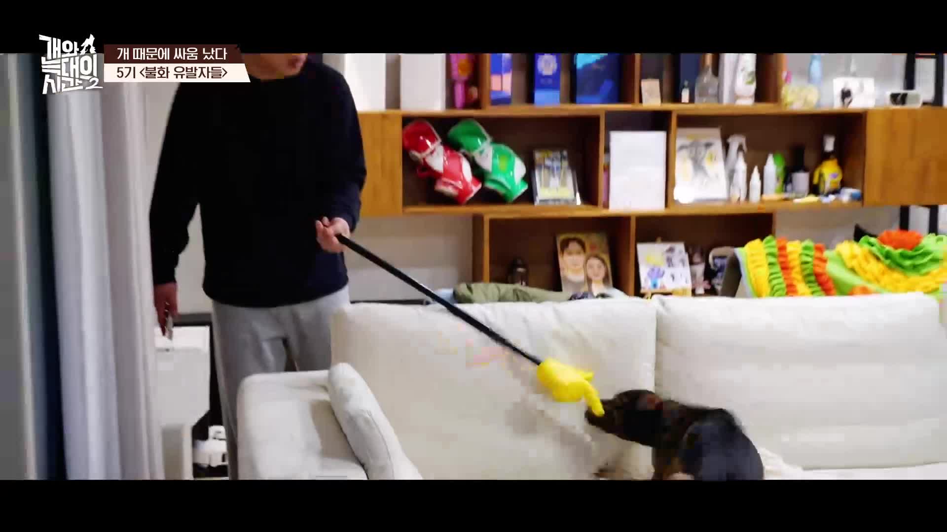 개와 늑대의 시간 시즌2 2026-04-08