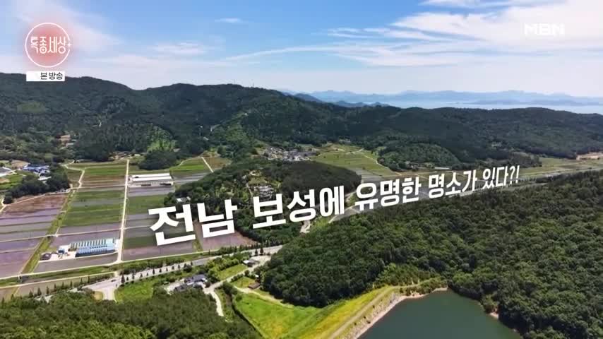 특종세상 2026-06-18