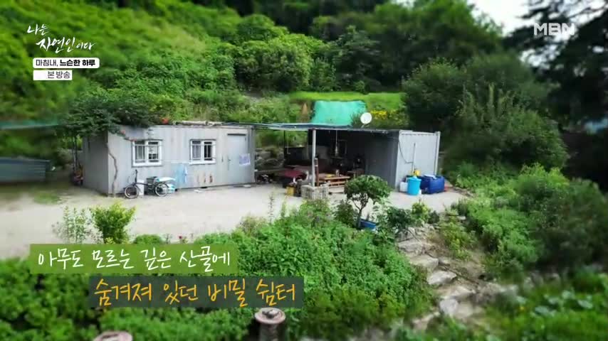 나는 자연인이다 2026-08-24