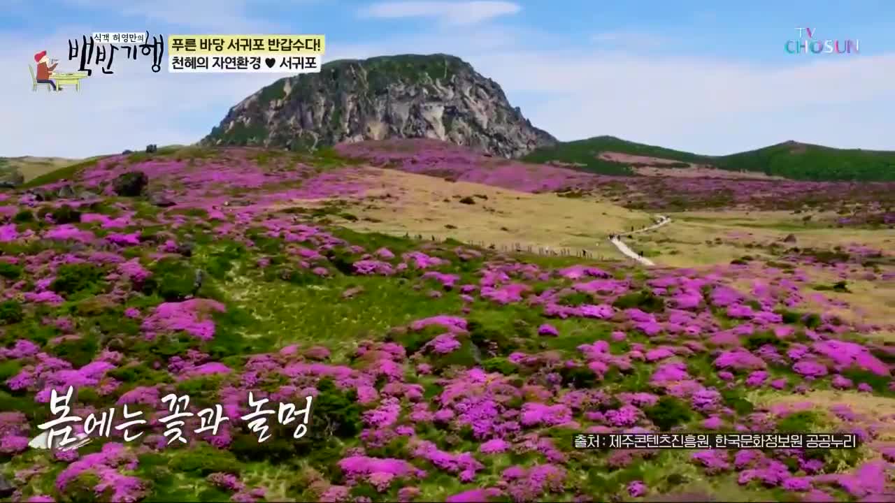 식객 허영만의 백반기행 제326회