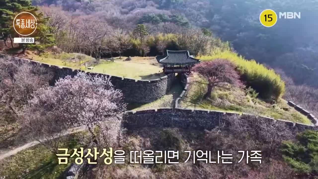 특종세상 2026-04-09