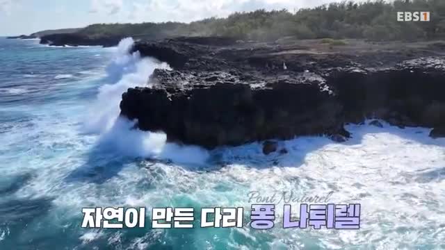 세계테마기행 2025-10-30