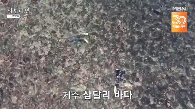 휴먼다큐 사노라면 2025-08-10