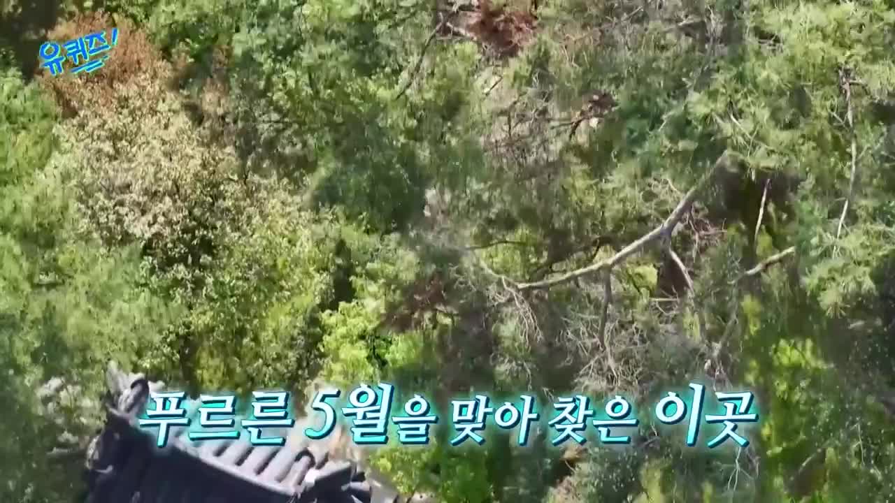 유 퀴즈 온 더 블럭 제295회