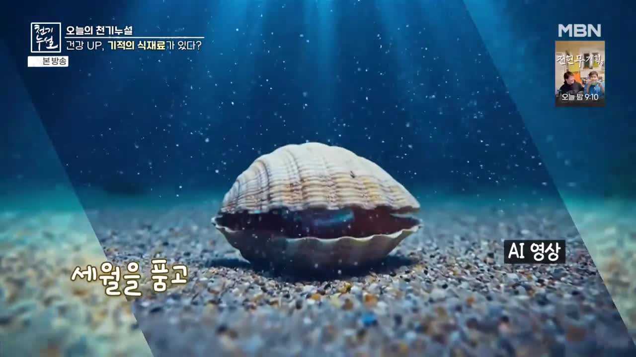 천기누설 2026-02-06