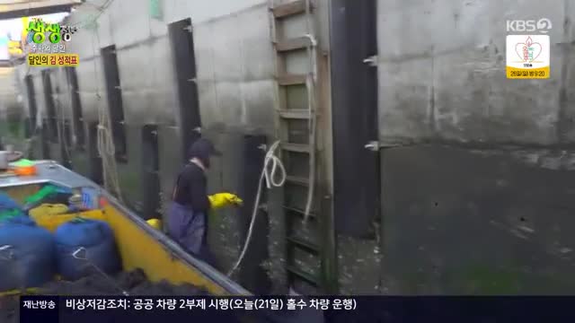 2TV 생생정보 2025-01-21