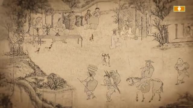 TV 동물농장 제1247회