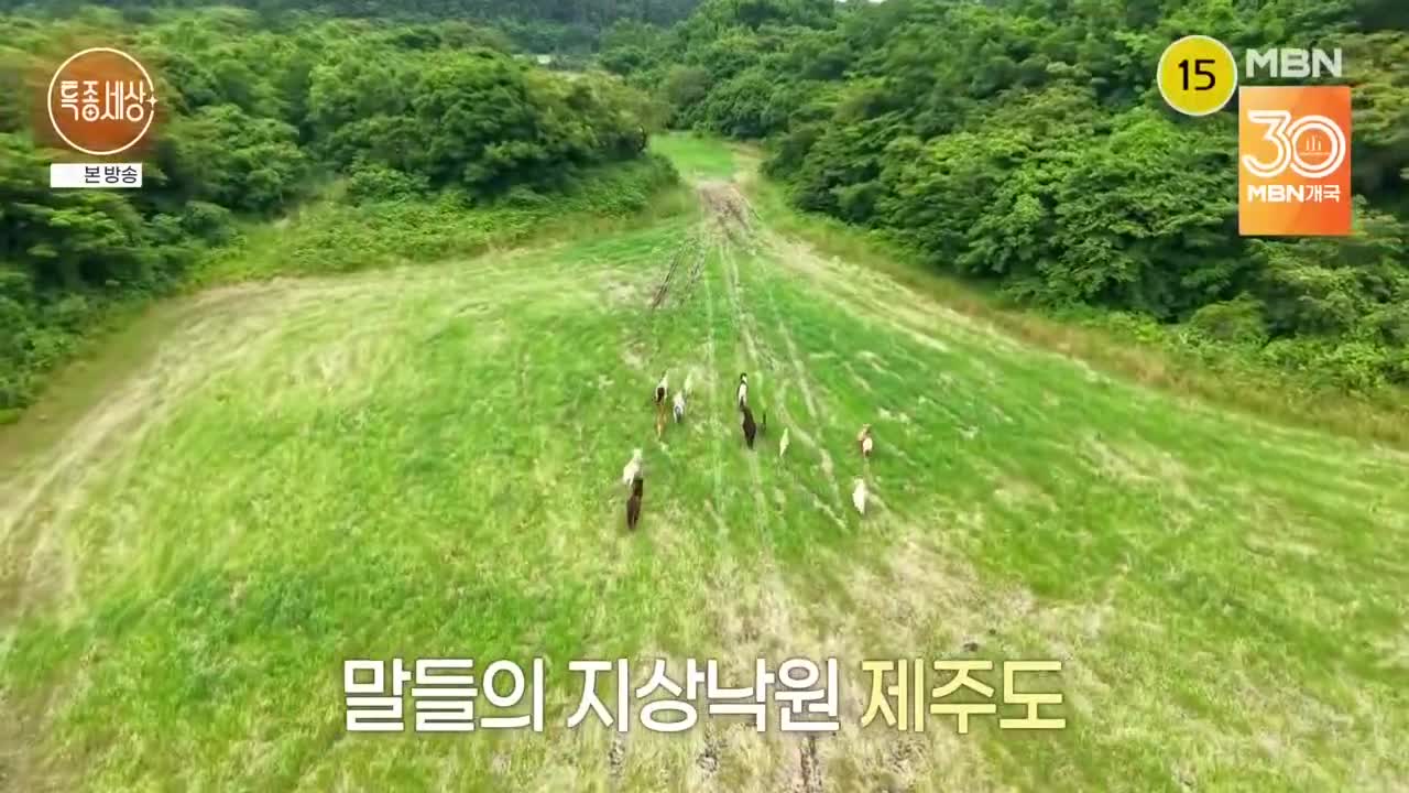 특종세상 2025-07-10